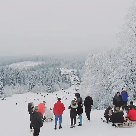 Apartamento Chic In Winterberg